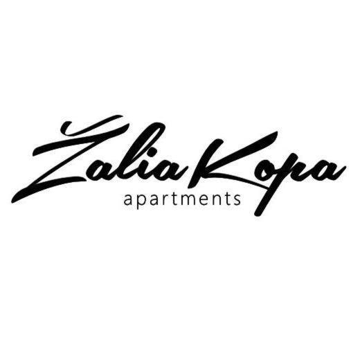 Zalia Kopa With Pool Vila